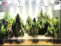 宁夏贝斯特科贸有限公司