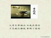 宁夏贝斯特科贸有限公司