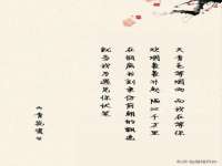 宁夏贝斯特科贸有限公司