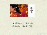 宁夏贝斯特科贸有限公司