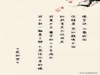 宁夏贝斯特科贸有限公司