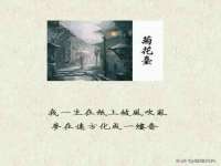 宁夏贝斯特科贸有限公司