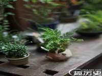 宁夏贝斯特科贸有限公司