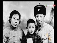 宁夏贝斯特科贸有限公司