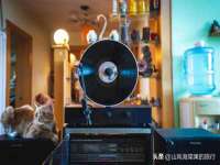 宁夏贝斯特科贸有限公司