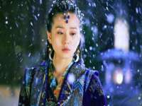 宁夏贝斯特科贸有限公司