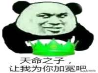 宁夏贝斯特科贸有限公司