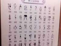 宁夏贝斯特科贸有限公司