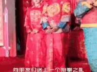 宁夏贝斯特科贸有限公司