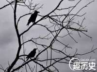 宁夏贝斯特科贸有限公司