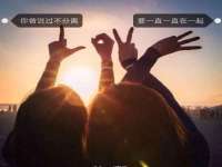 宁夏贝斯特科贸有限公司