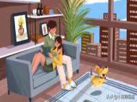 宁夏贝斯特科贸有限公司