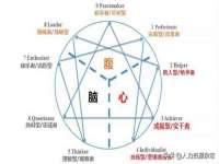 宁夏贝斯特科贸有限公司