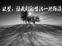 宁夏贝斯特科贸有限公司