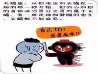 宁夏贝斯特科贸有限公司