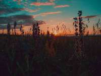 宁夏贝斯特科贸有限公司