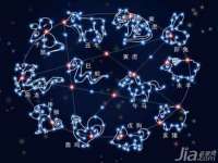 宁夏贝斯特科贸有限公司
