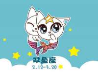 宁夏贝斯特科贸有限公司