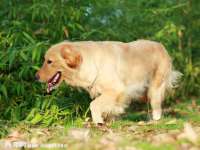 宁夏贝斯特科贸有限公司