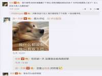 宁夏贝斯特科贸有限公司