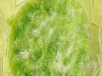 宁夏贝斯特科贸有限公司