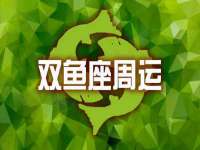 宁夏贝斯特科贸有限公司