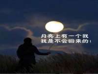 宁夏贝斯特科贸有限公司