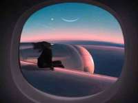 宁夏贝斯特科贸有限公司