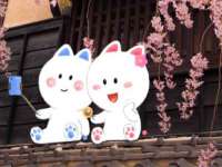宁夏贝斯特科贸有限公司