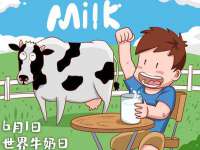 宁夏贝斯特科贸有限公司