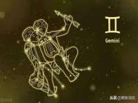 宁夏贝斯特科贸有限公司