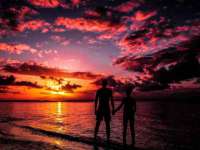 宁夏贝斯特科贸有限公司
