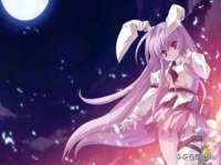 宁夏贝斯特科贸有限公司