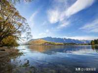 宁夏贝斯特科贸有限公司