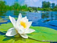 宁夏贝斯特科贸有限公司