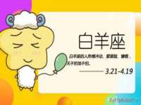 宁夏贝斯特科贸有限公司