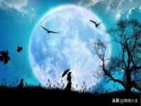 宁夏贝斯特科贸有限公司