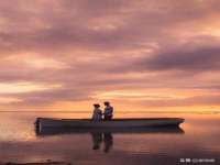 宁夏贝斯特科贸有限公司