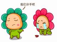宁夏贝斯特科贸有限公司