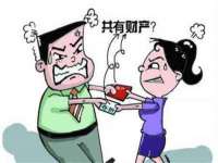 宁夏贝斯特科贸有限公司