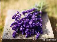 宁夏贝斯特科贸有限公司