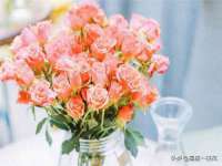 宁夏贝斯特科贸有限公司