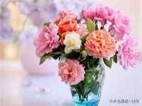 宁夏贝斯特科贸有限公司