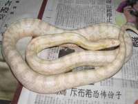 宁夏贝斯特科贸有限公司