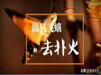 宁夏贝斯特科贸有限公司