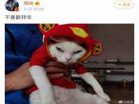 宁夏贝斯特科贸有限公司