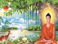 宁夏贝斯特科贸有限公司