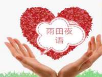 宁夏贝斯特科贸有限公司