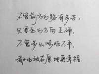 宁夏贝斯特科贸有限公司