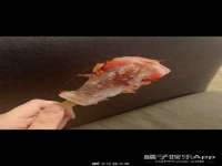宁夏贝斯特科贸有限公司